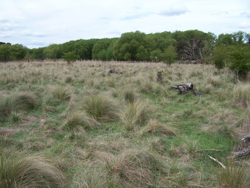 545  Browns Road, Currawang NSW 2580