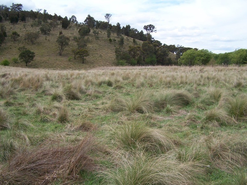 545  Browns Road, Currawang NSW 2580