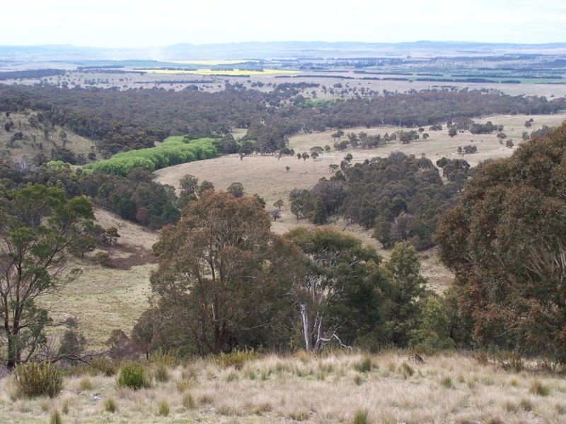 545  Browns Road, Currawang NSW 2580