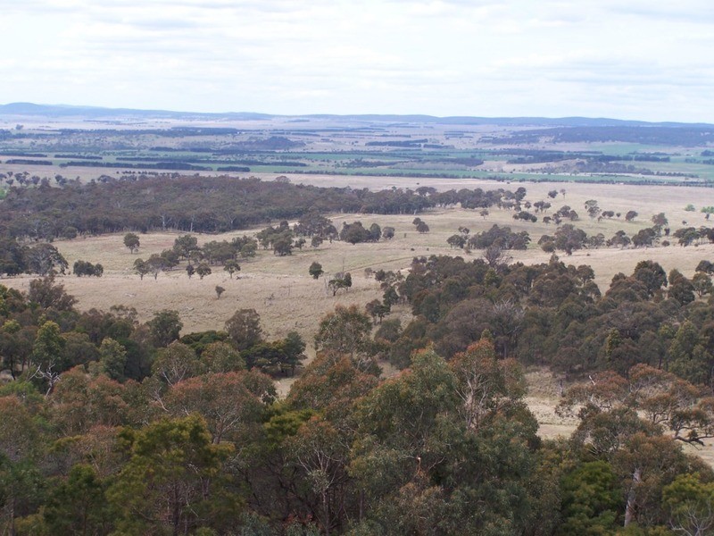 545  Browns Road, Currawang NSW 2580