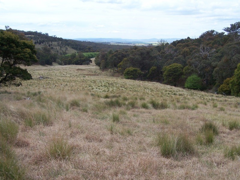 545  Browns Road, Currawang NSW 2580