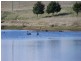 Lot 3 Bullamalita Road, Goulburn NSW 2580