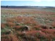 Lot 3 Bullamalita Road, Goulburn NSW 2580