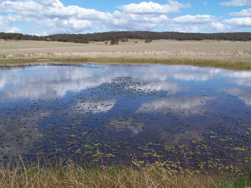 Lot 2 Kooringaroo Road, Goulburn NSW 2580