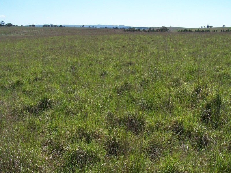 Lot 2 Kooringaroo Road, Goulburn NSW 2580
