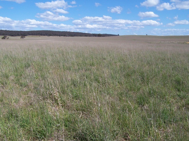 Lot 2 Kooringaroo Road, Goulburn NSW 2580