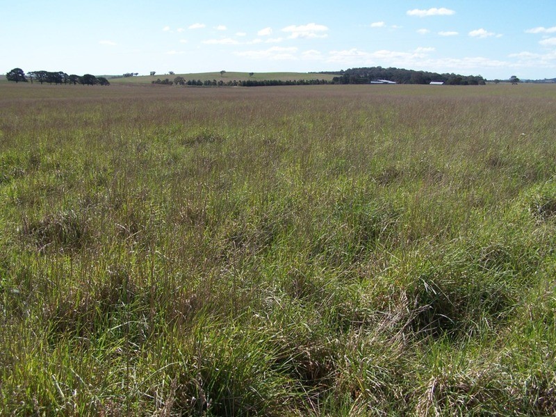 Lot 2 Kooringaroo Road, Goulburn NSW 2580