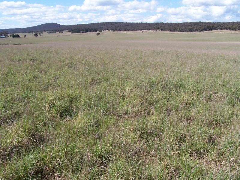 Lot 2 Kooringaroo Road, Goulburn NSW 2580