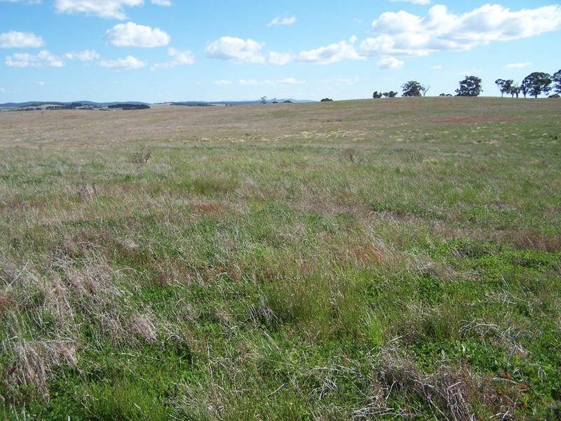 Lot 2 Kooringaroo Road, Goulburn NSW 2580