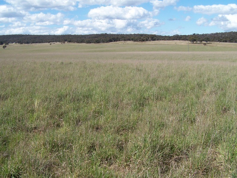Lot 2 Kooringaroo Road, Goulburn NSW 2580