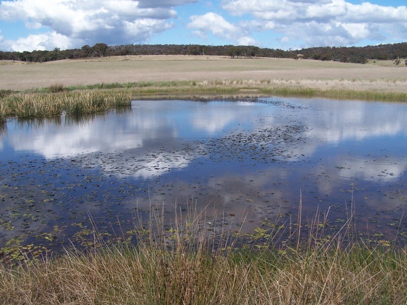 Lot 2 Kooringaroo Road, Goulburn NSW 2580