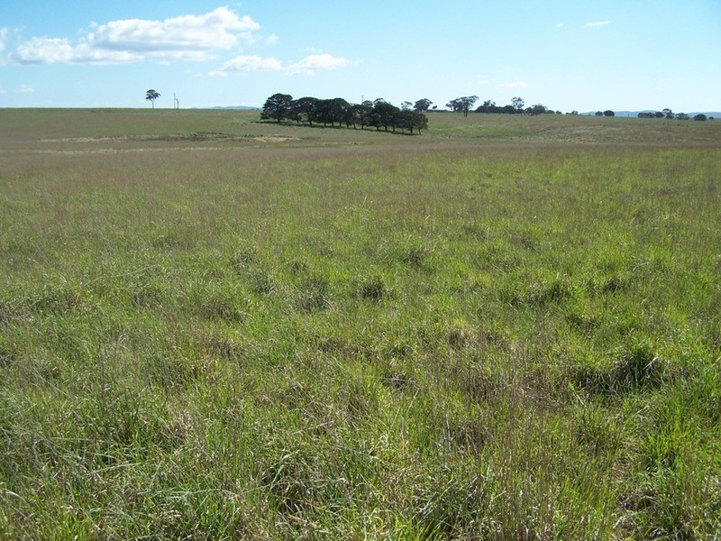 Lot 2 Kooringaroo Road, Goulburn NSW 2580