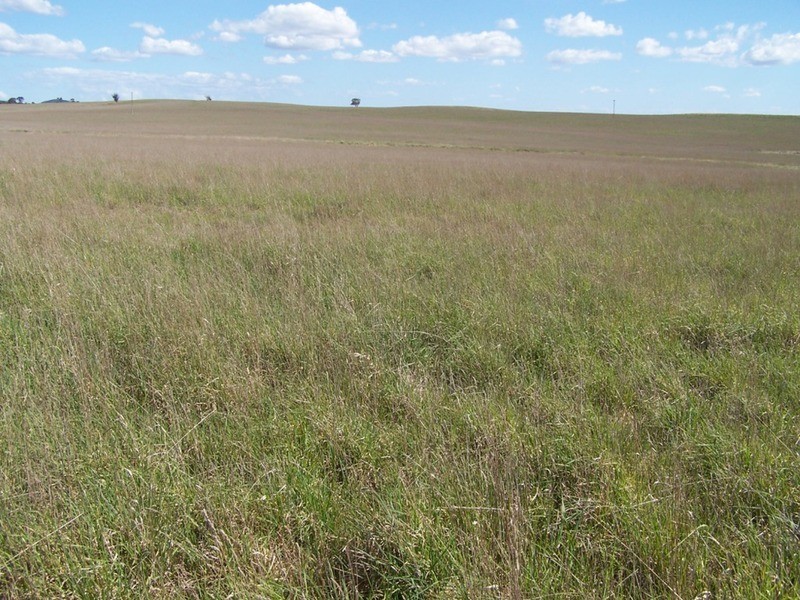 Lot 2 Kooringaroo Road, Goulburn NSW 2580