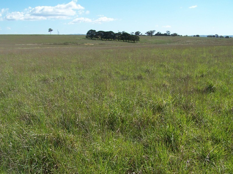 Lot 2 Kooringaroo Road, Goulburn NSW 2580