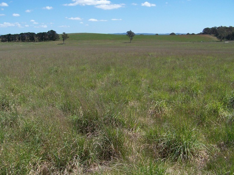 “Adore Park” Lot 1 Kooringaroo Road, Goulburn NSW 2580