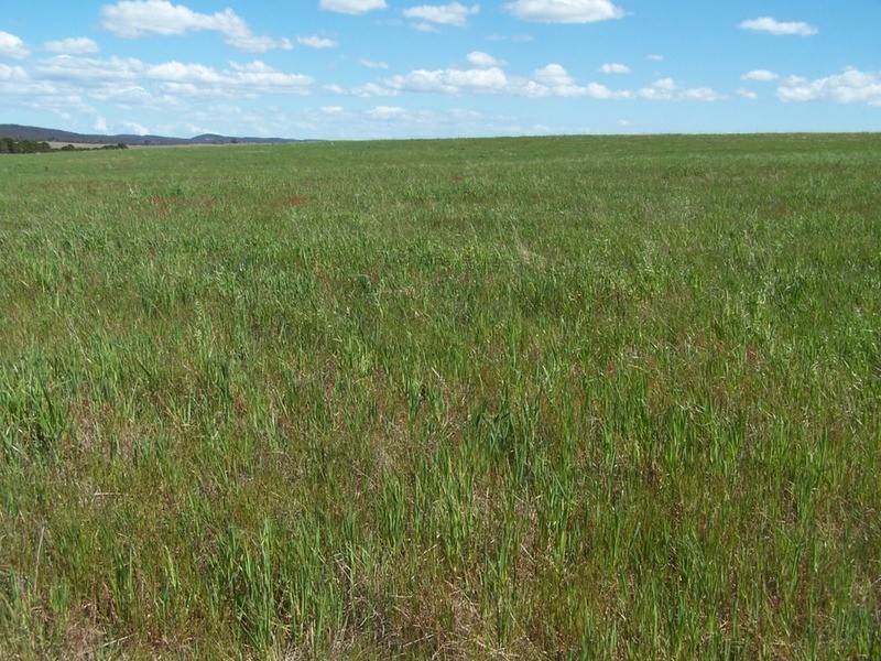“Adore Park” Lot 1 Kooringaroo Road, Goulburn NSW 2580