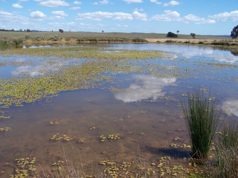 “Adore Park” Lot 1 Kooringaroo Road, Goulburn NSW 2580