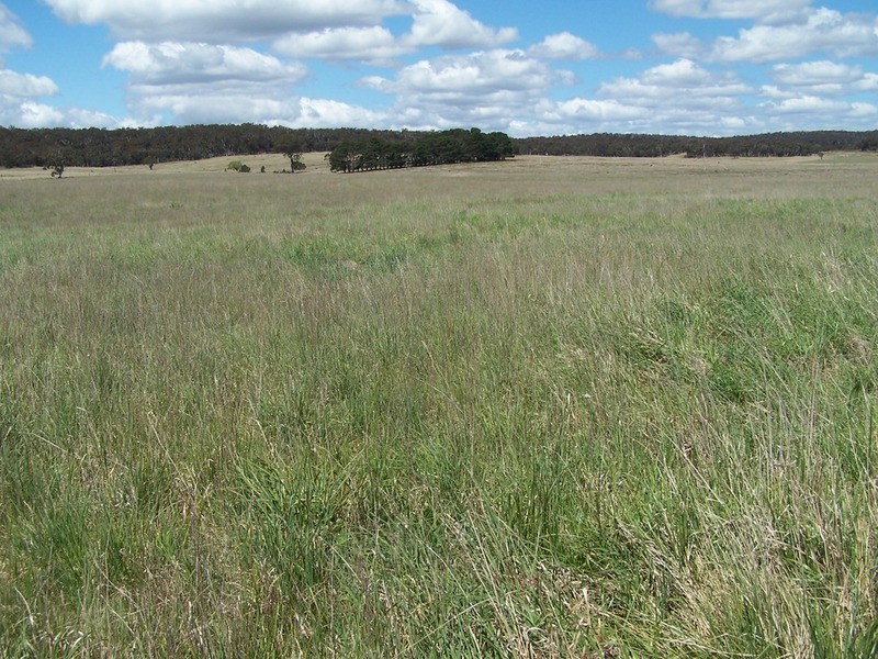 “Adore Park” Lot 1 Kooringaroo Road, Goulburn NSW 2580
