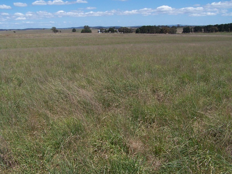 “Adore Park” Lot 1 Kooringaroo Road, Goulburn NSW 2580