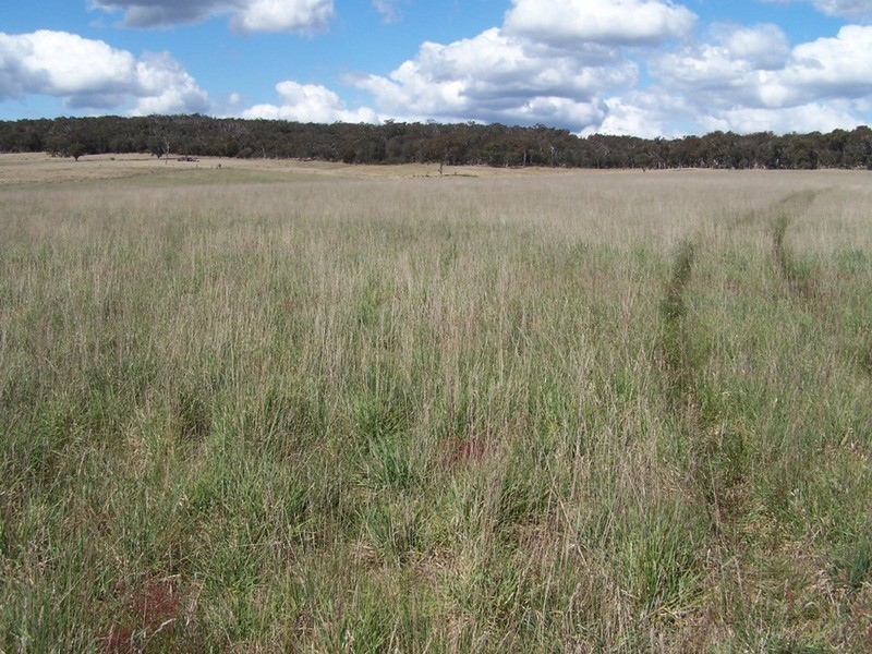 “Adore Park” Lot 1 Kooringaroo Road, Goulburn NSW 2580