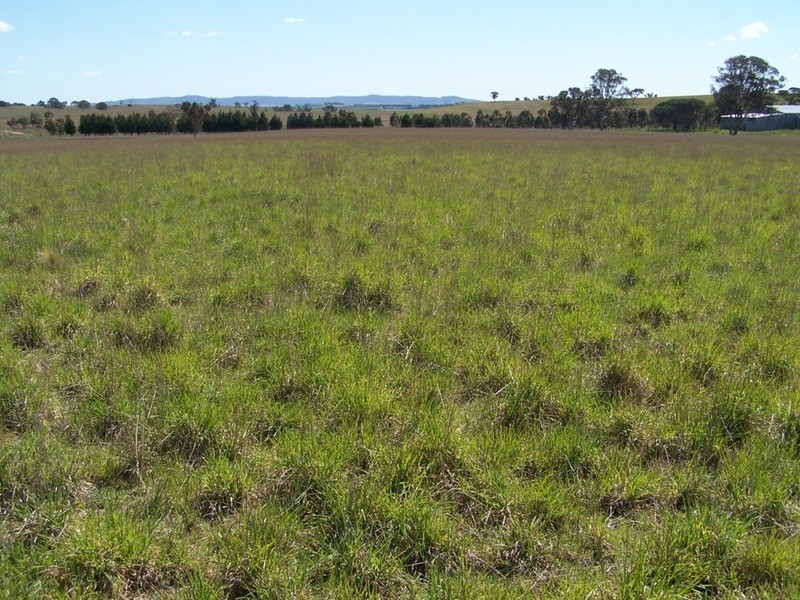 “Adore Park” Lot 1 Kooringaroo Road, Goulburn NSW 2580