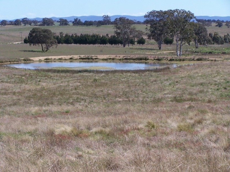 “Adore Park” Lot 1 Kooringaroo Road, Goulburn NSW 2580