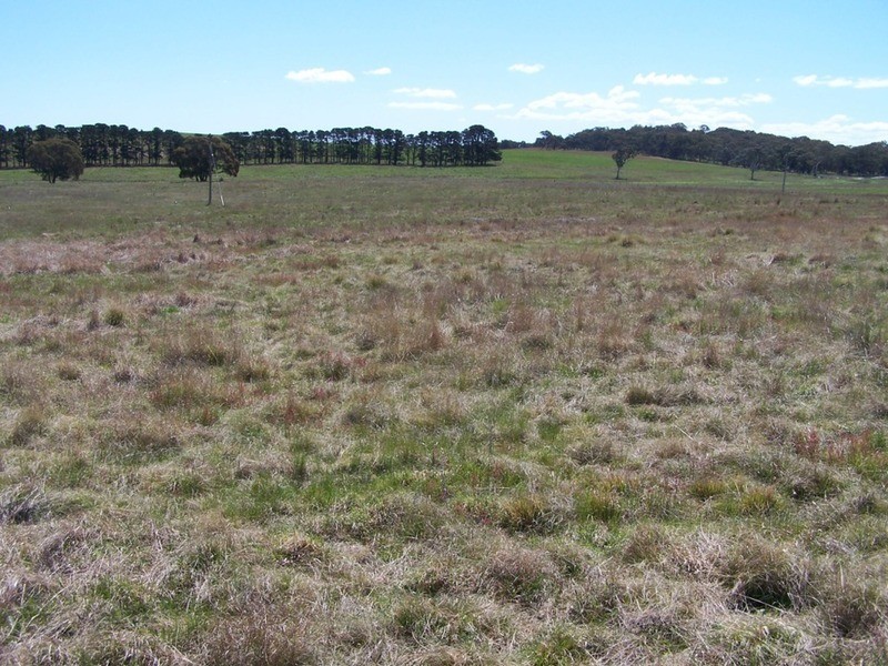 “Adore Park” Lot 1 Kooringaroo Road, Goulburn NSW 2580