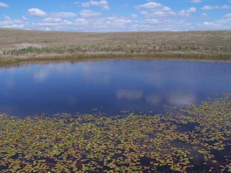 Lot 4 Bullamalita Road, Goulburn NSW 2580