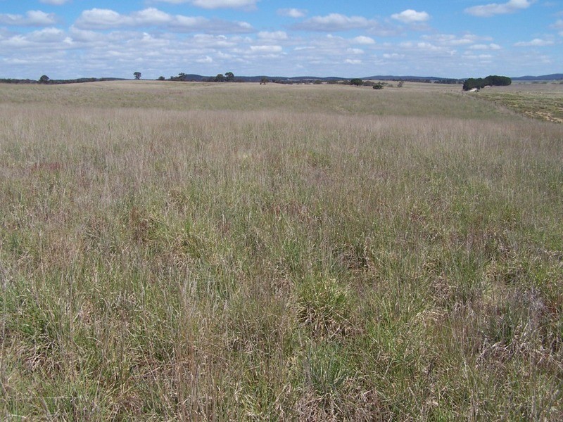 Lot 4 Bullamalita Road, Goulburn NSW 2580