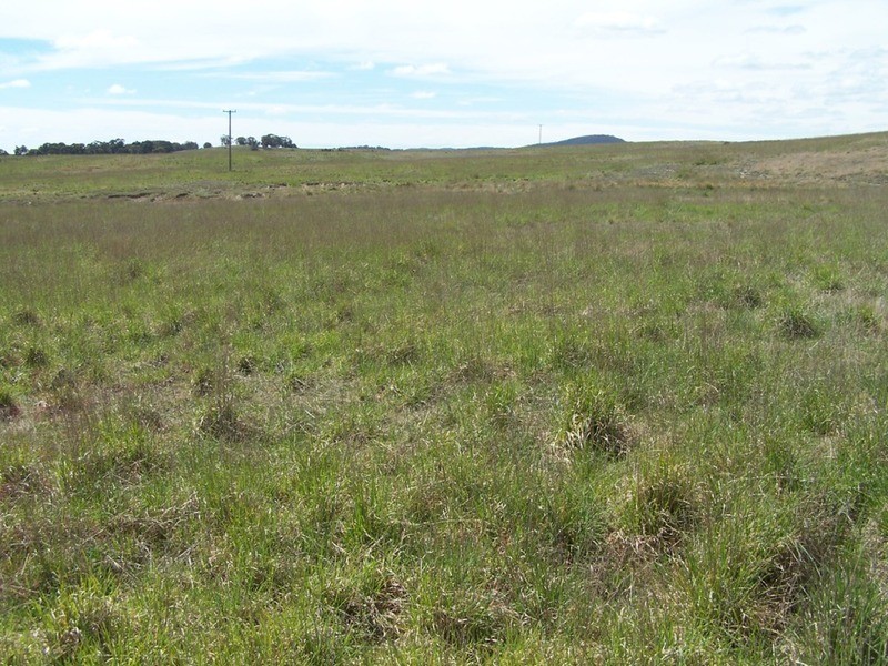 Lot 4 Bullamalita Road, Goulburn NSW 2580