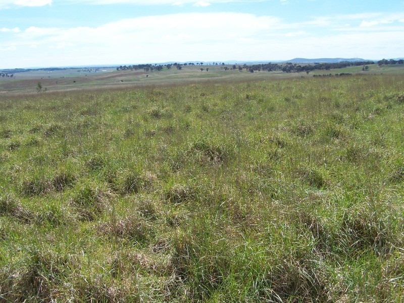 Lot 4 Bullamalita Road, Goulburn NSW 2580