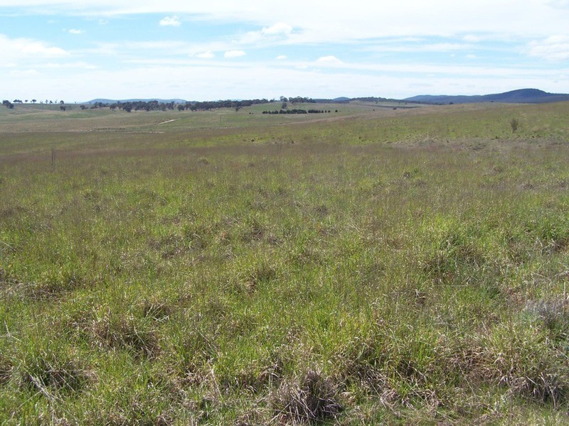 Lot 4 Bullamalita Road, Goulburn NSW 2580
