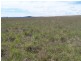 Lot 4 Bullamalita Road, Goulburn NSW 2580