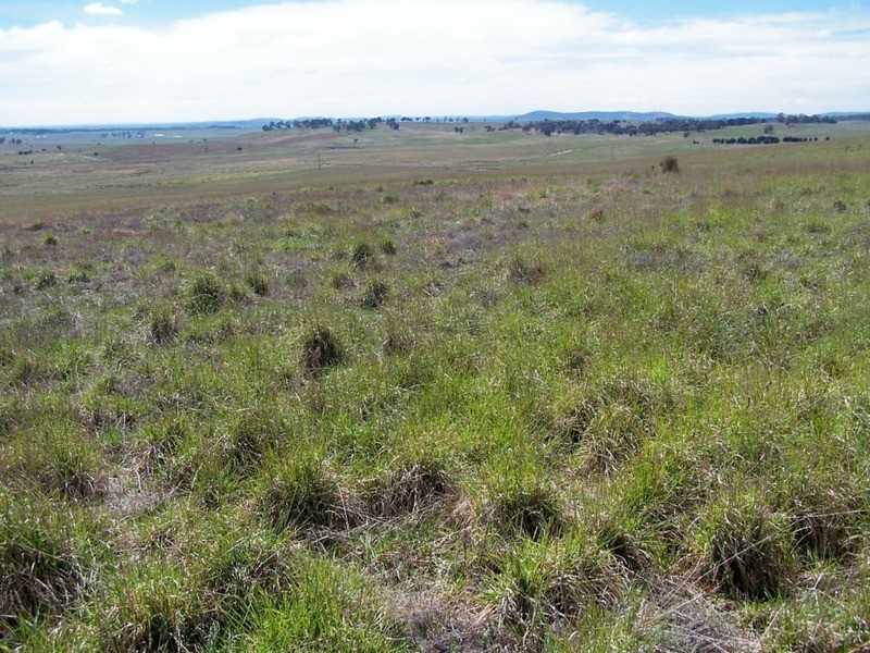 Lot 4 Bullamalita Road, Goulburn NSW 2580