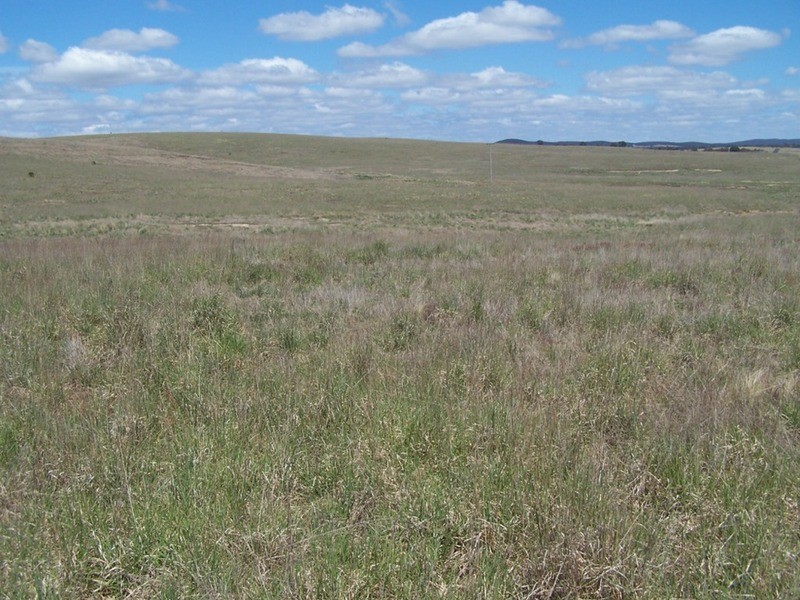 Lot 4 Bullamalita Road, Goulburn NSW 2580