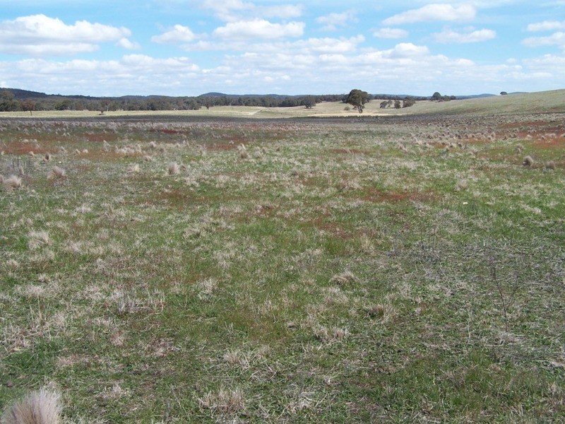 Lot 5 Off Bullamalita Road, Goulburn NSW 2580