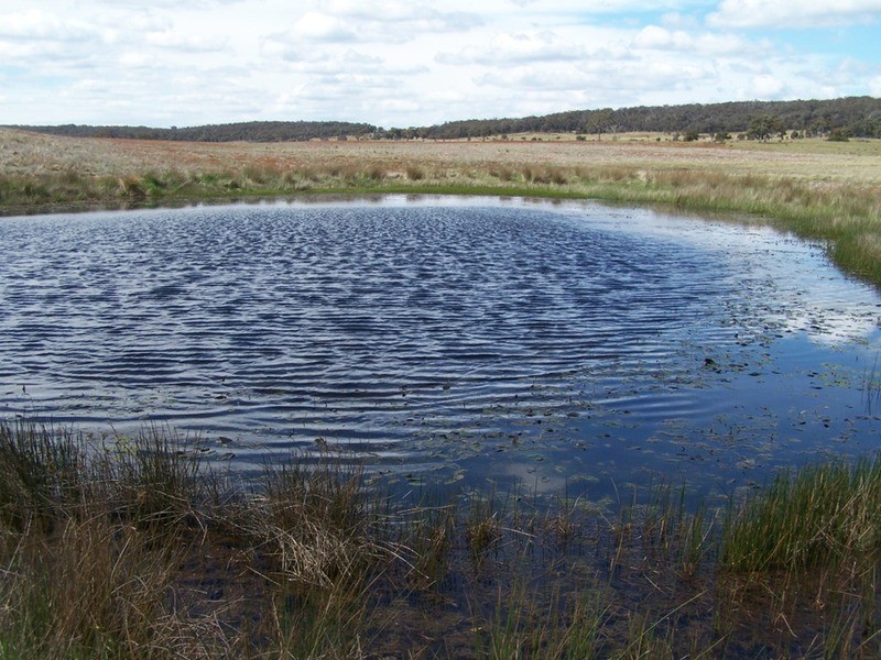 Lot 5 Off Bullamalita Road, Goulburn NSW 2580