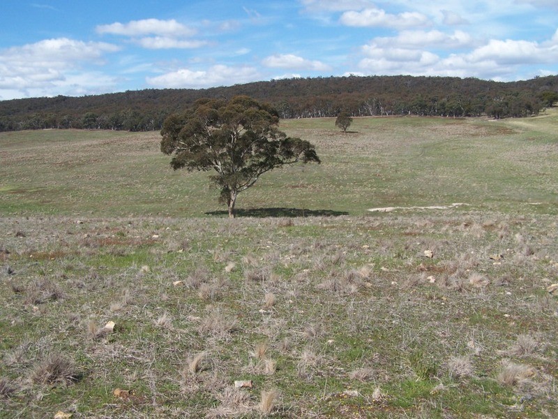Lot 5 Off Bullamalita Road, Goulburn NSW 2580