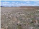 Lot 5 Off Bullamalita Road, Goulburn NSW 2580