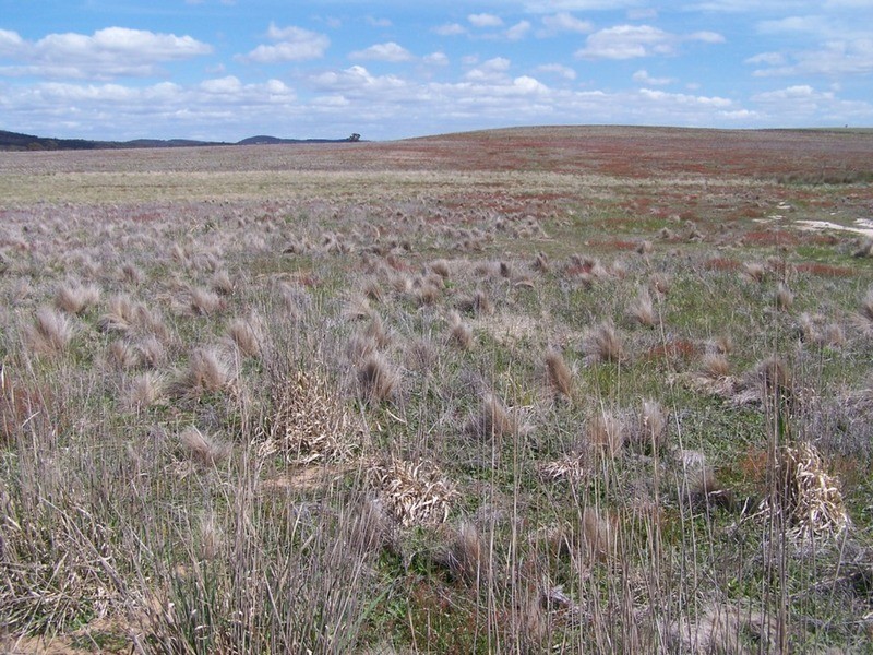 Lot 5 Off Bullamalita Road, Goulburn NSW 2580