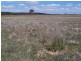 Lot 5 Off Bullamalita Road, Goulburn NSW 2580