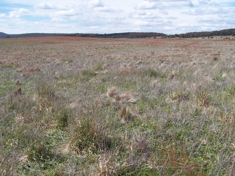 Lot 5 Off Bullamalita Road, Goulburn NSW 2580