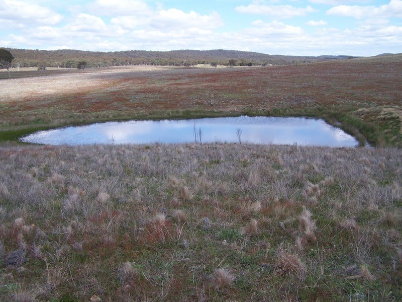 Lot 5 Off Bullamalita Road, Goulburn NSW 2580