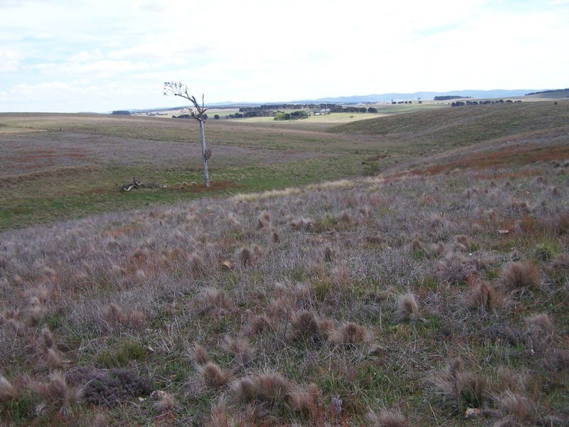 Lot 5 Off Bullamalita Road, Goulburn NSW 2580