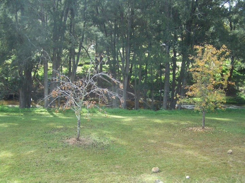 5170 Peelwood Road, Tuena NSW 2583