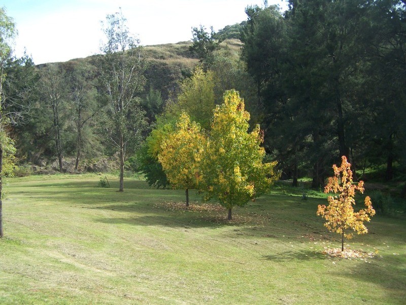 5170 Peelwood Road, Tuena NSW 2583