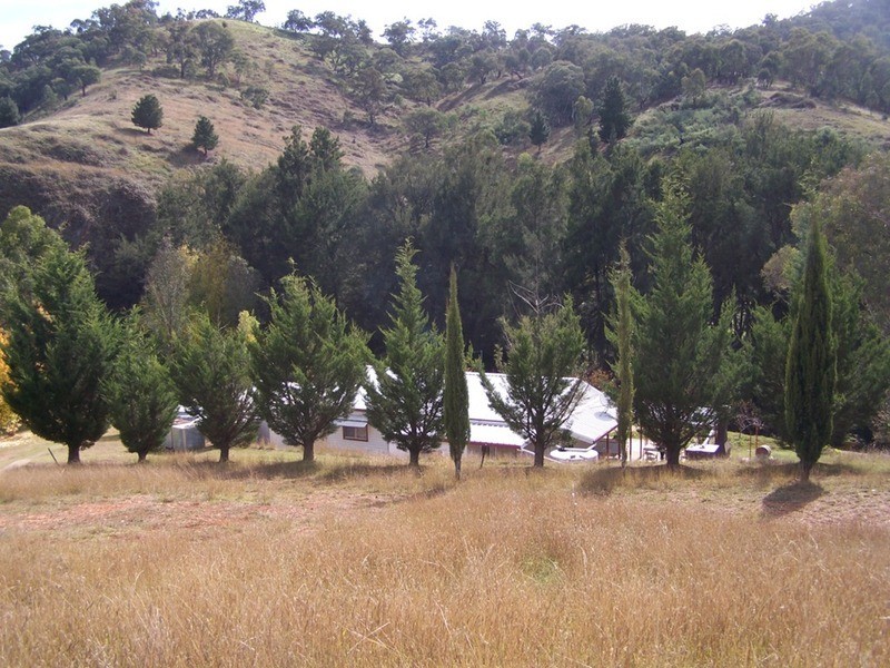 5170 Peelwood Road, Tuena NSW 2583