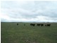 354 Painters Lane, Goulburn NSW 2580
