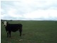 354 Painters Lane, Goulburn NSW 2580