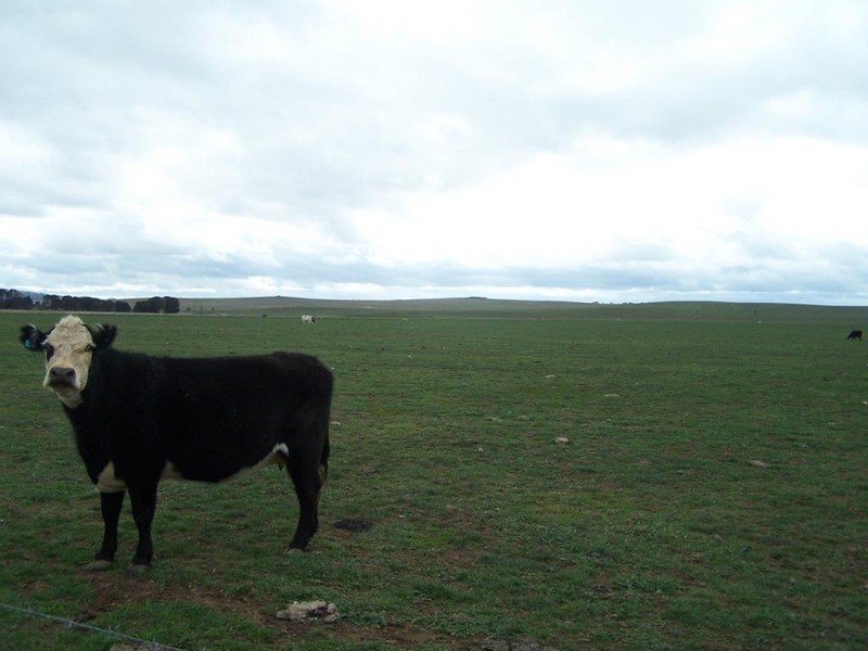 354 Painters Lane, Goulburn NSW 2580